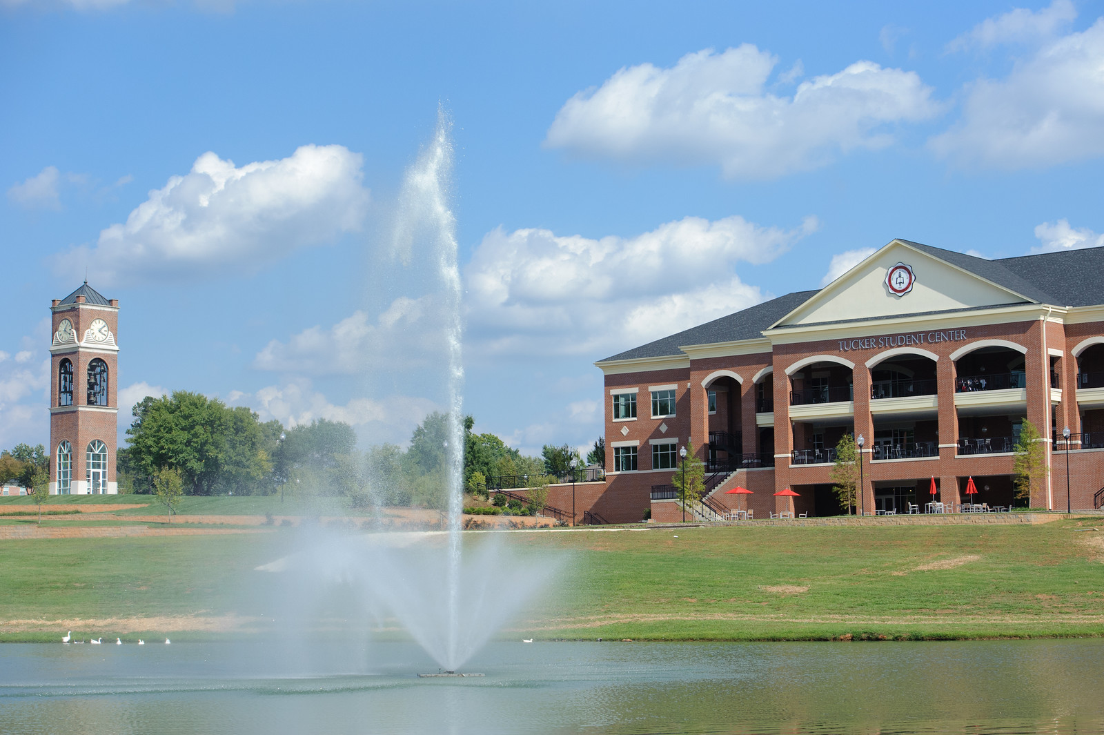 Lake Hollifield