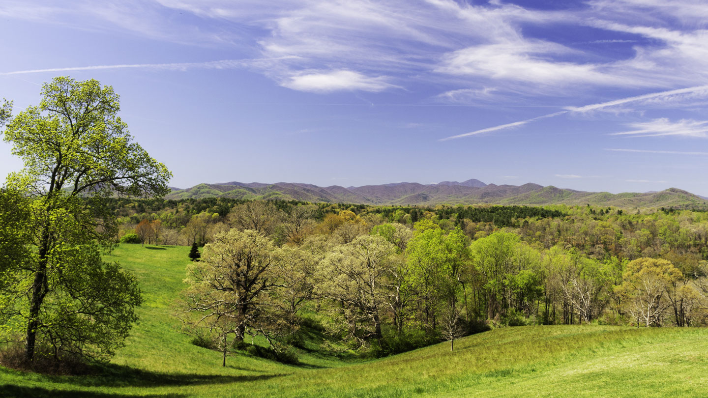 colleges-near-asheville-nc