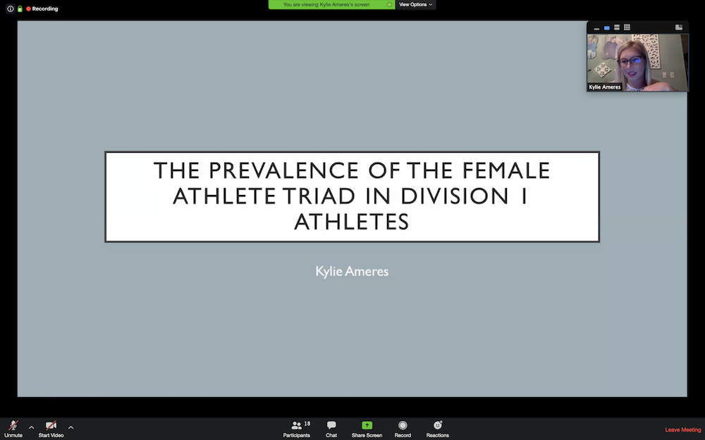 screenshot of Kylie Ameres presentation