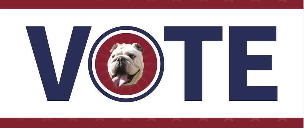A voting graphic featuring the gwu bulldog mascot in the center