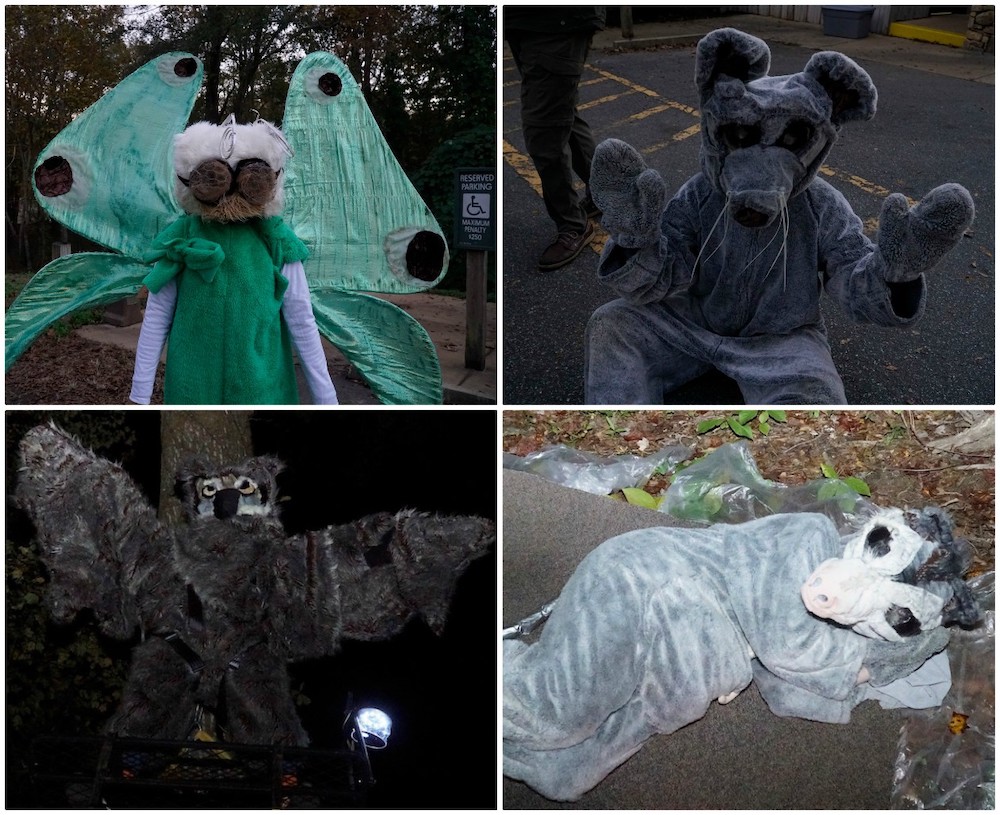 A collage of four photos that shows students dressed up in the animal costumes - firefly, rat, owl and opossum.