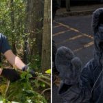 A collage of two photos: on the left is a student cleaning up brush at the Broad River Greenway and on the right is a student dressed in a rat costume.