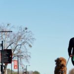 a runner participates in the 5K