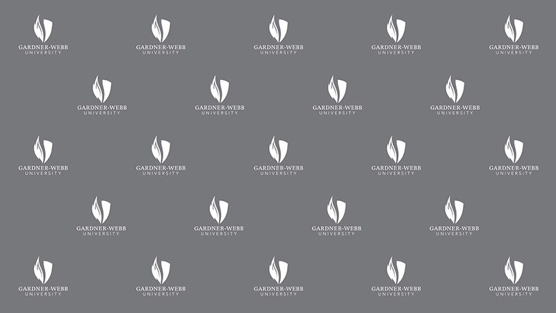 Zoom Background - Grey Logo