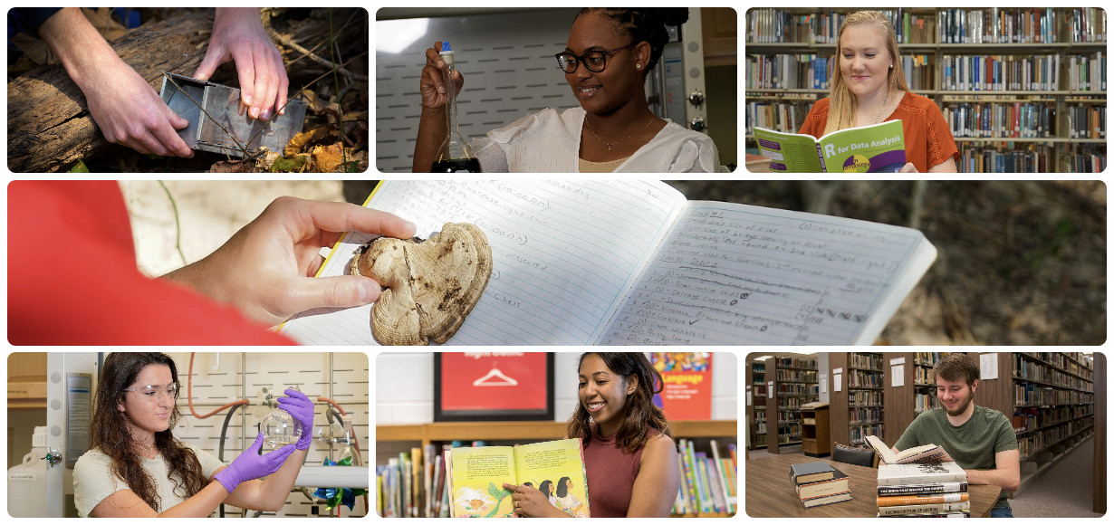 A collage of seven pictures featuring the summer scholars in settings that depict their research studies.