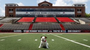 Bo the Bulldog in the football stadium