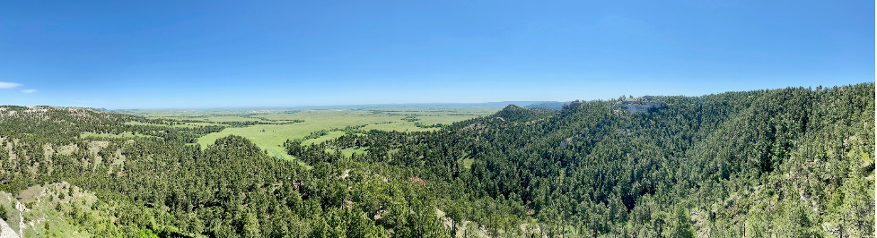 A view from on top of the ridge at Gilbert-Baker Wildlife Management Area (WMA). This management area is my absolute favorite place, and the site of my current forest management project. This picture is a great look at what the Pine Ridge Ecosystem is, and why this landscape is so incredible.