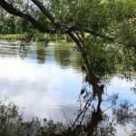 A photo of the New River