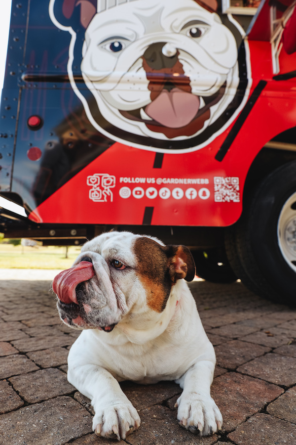 Bo, the live bulldog mascot, poses in front of the truck