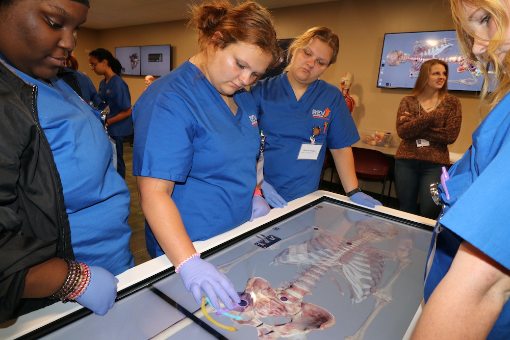 The students manipulate the virtual cadaver.