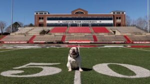 Bo the Bulldog on Spangler Field