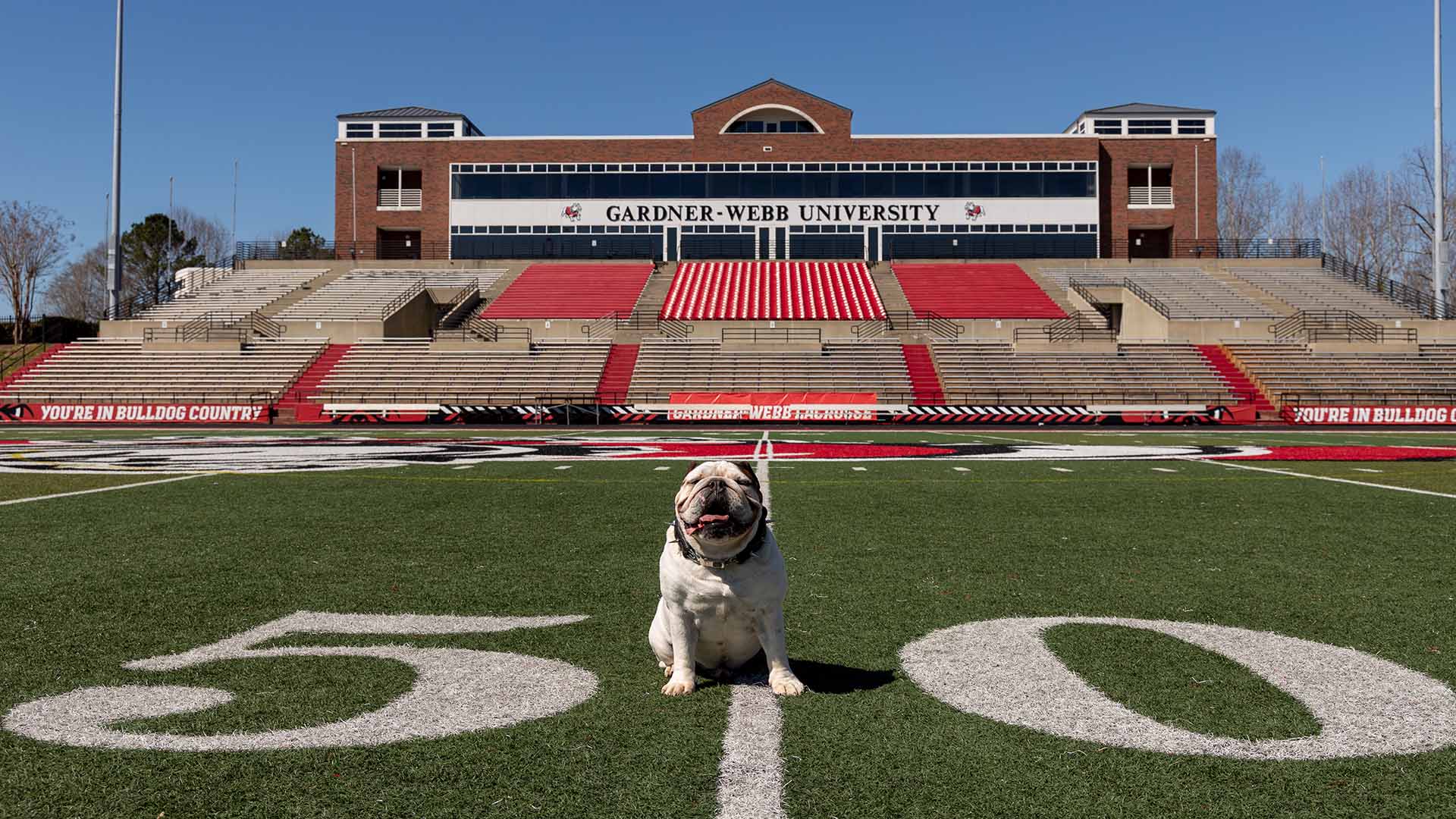 Bo the Bulldog on Spangler Field
