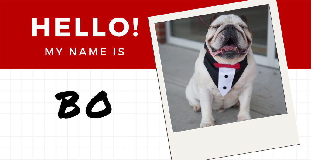 Hello! My name is Bo