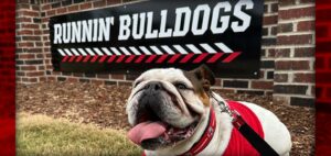 Bo posing in front of GWU sign