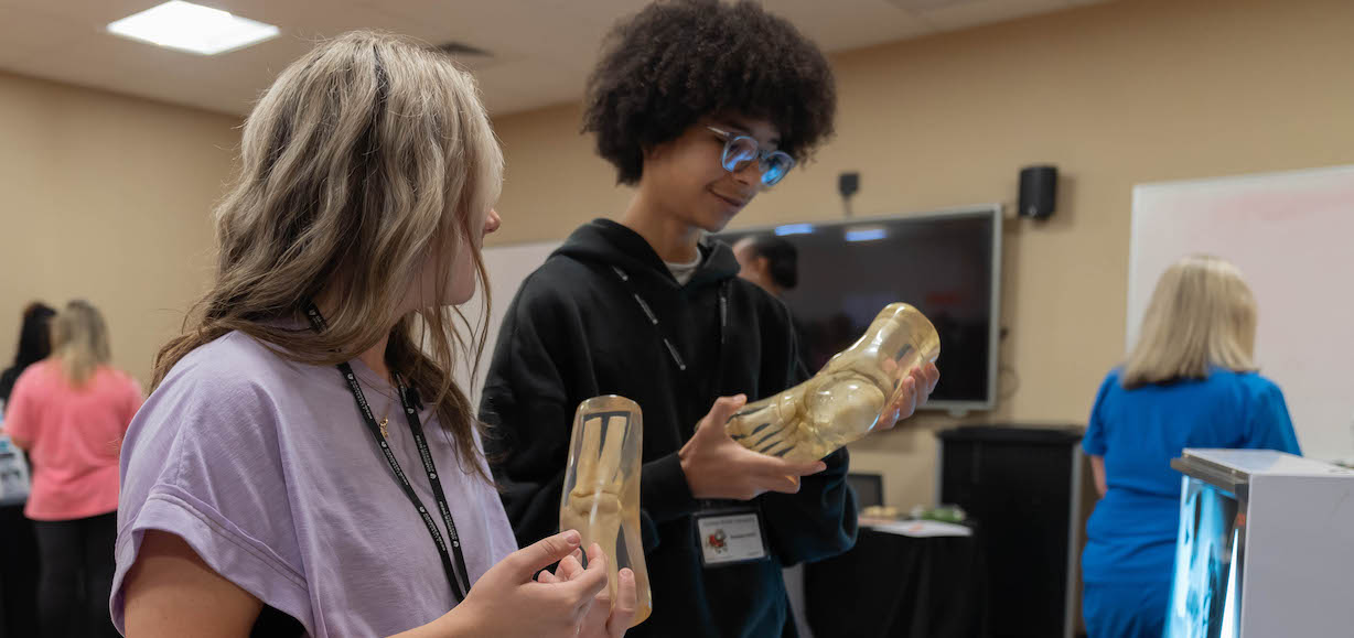 Two students hold skeleton models