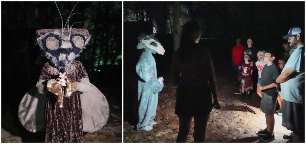 enchanted forest collage