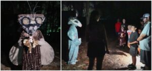 enchanted forest collage
