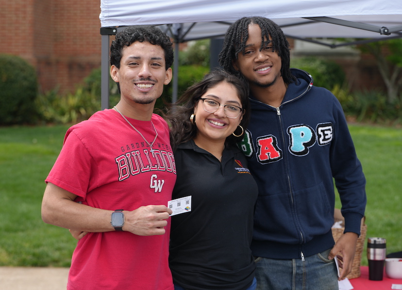 webbstock music festival