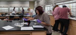 Students conducting an Organic Chemistry Lab Steam Distillation