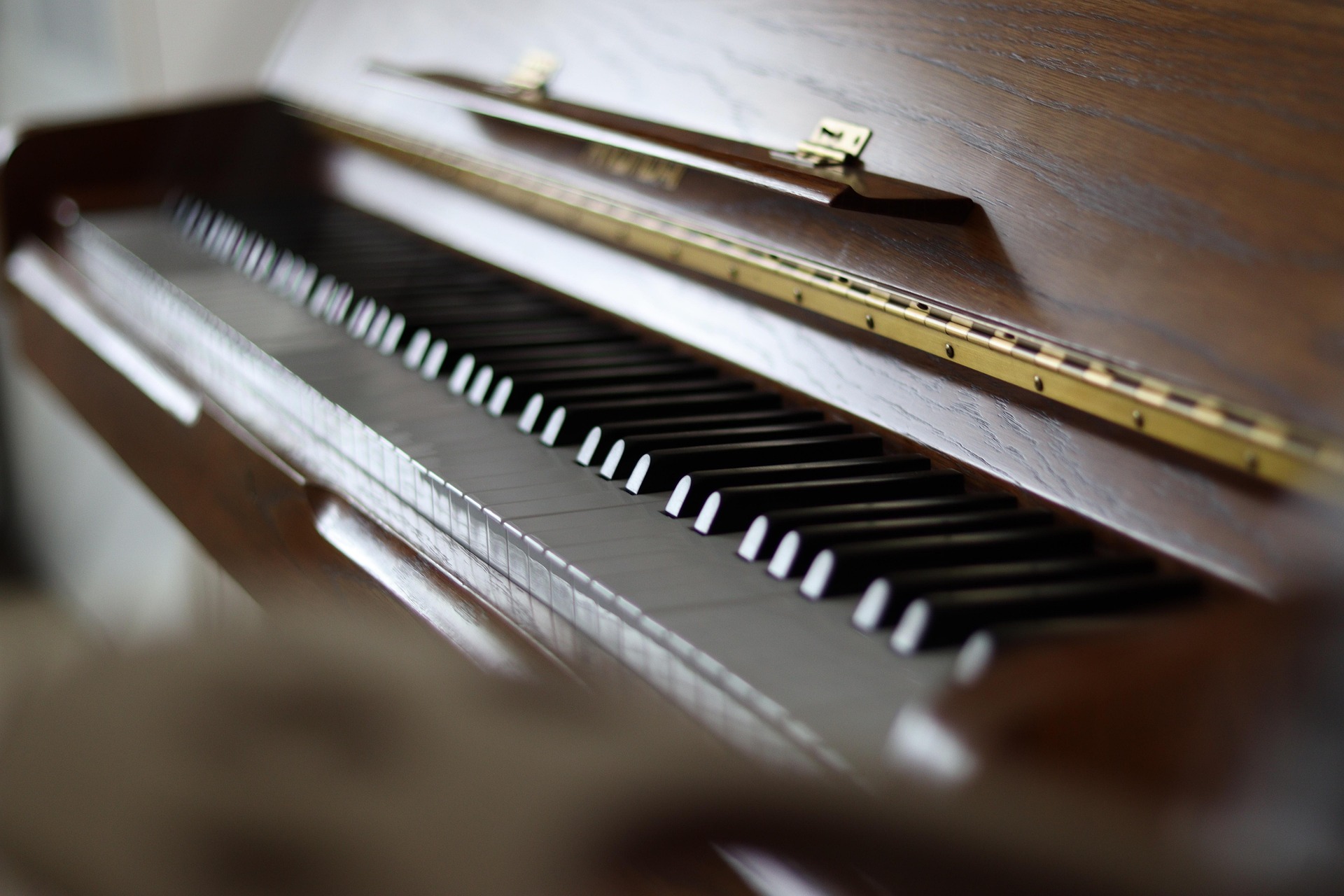 fabian duck piano