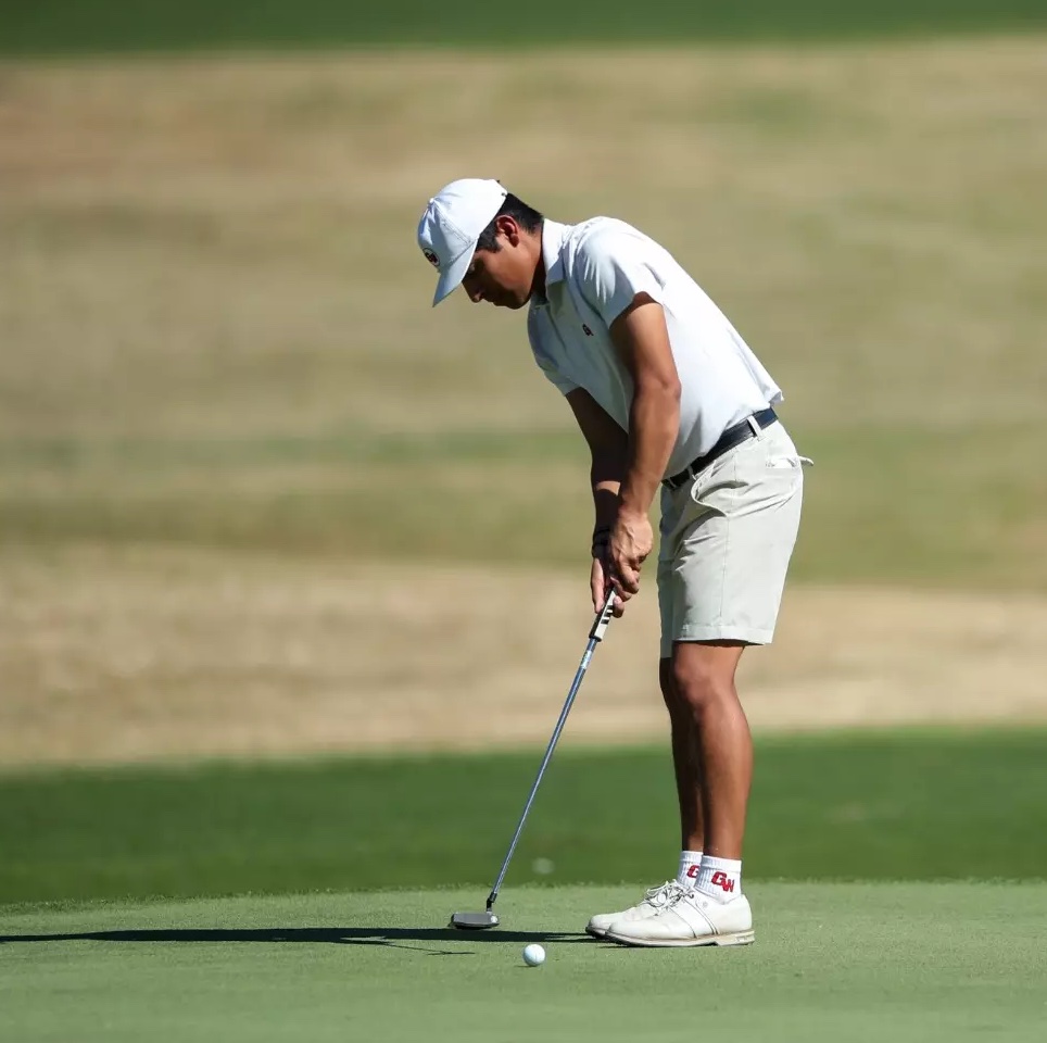 golf gallery image