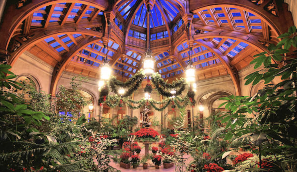Winter garden bitmore